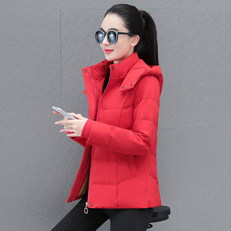 Aveline™ – Women’s Cozy Down Puffer Jacket